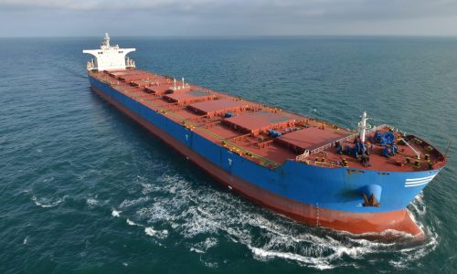 Géant-des-mers-bulk-e1478688785103